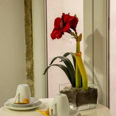 Fanqueiros 204 - Old Town Appartement *